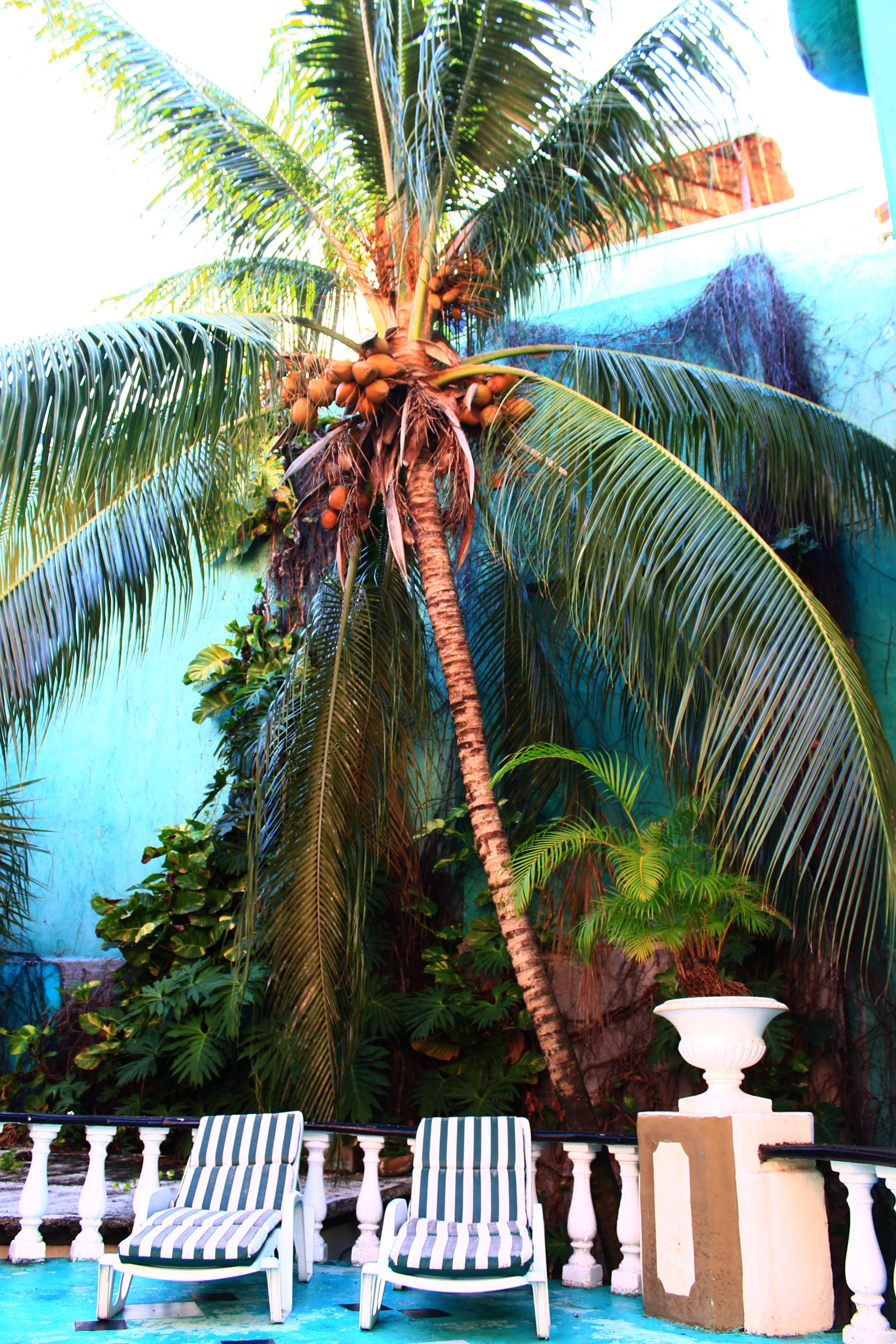 Maya del Mar on Fifth Avenue Playa del Carmen Dış mekan fotoğraf
